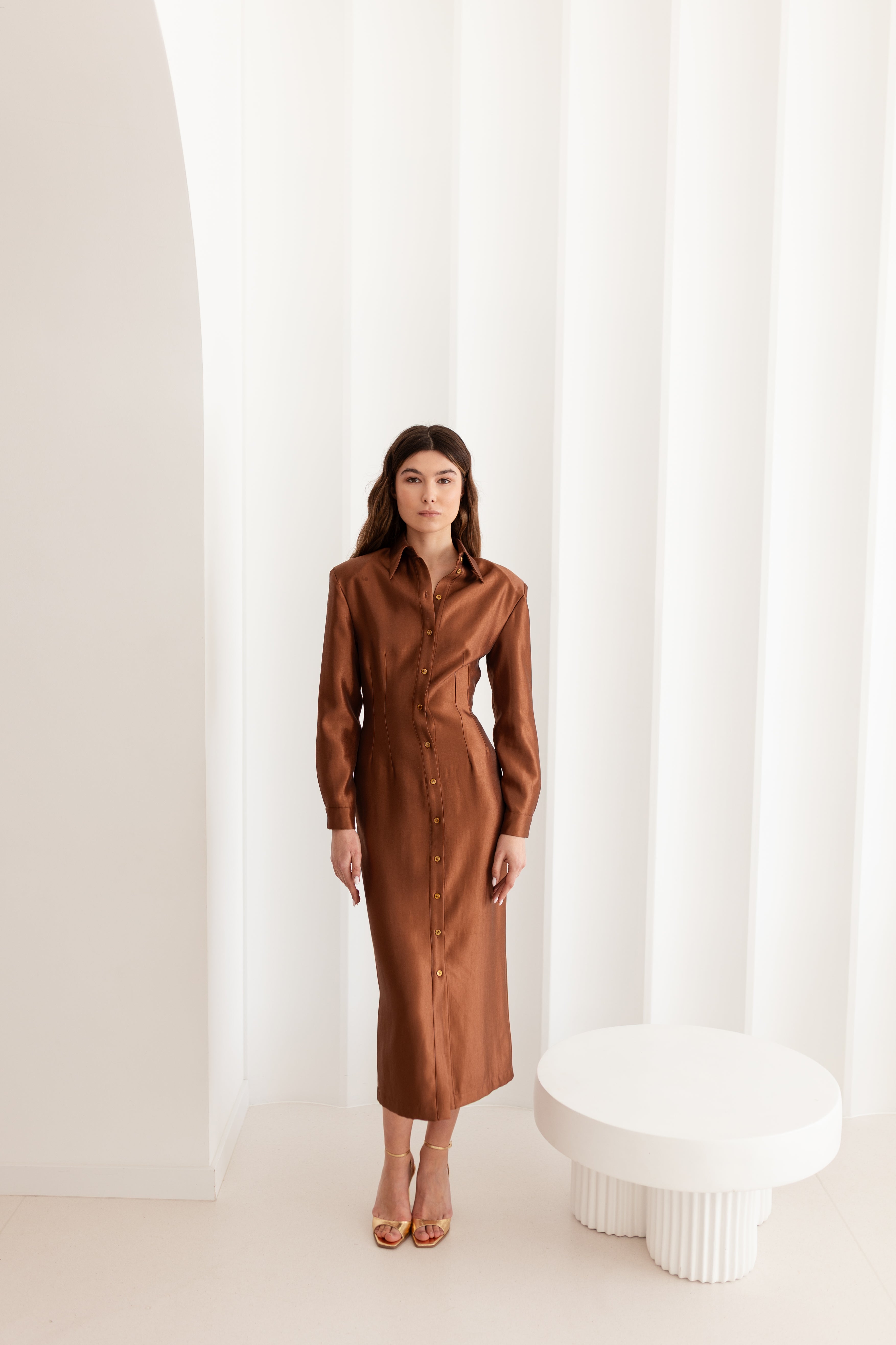 EDITH Brown Fitted Midi Shirt Dress