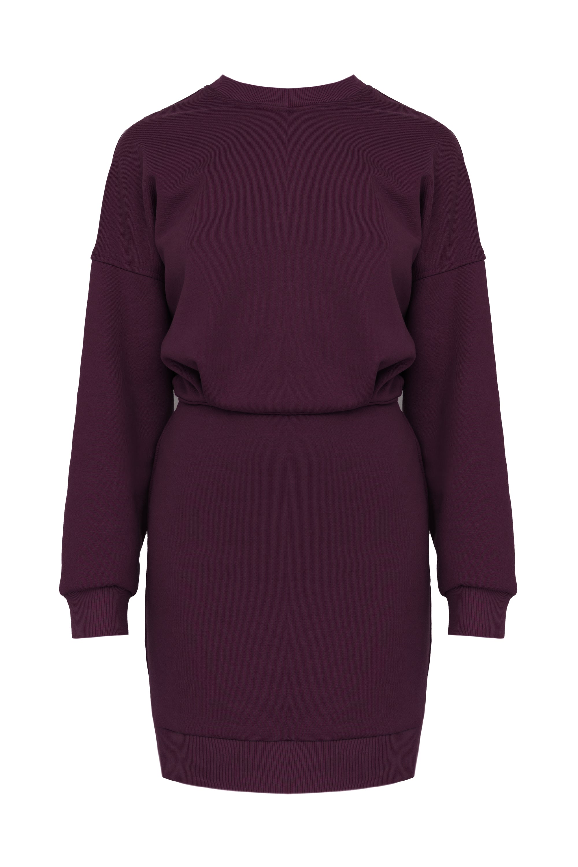 NIKA Dark Purple Mini Jersey Dress with Long Sleeves